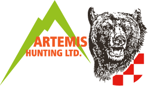 Artemis Hunting