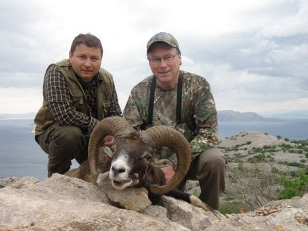 Mouflon Sheep Hunting